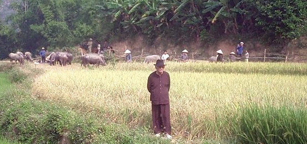 Phạm Duy về quê (2003?)